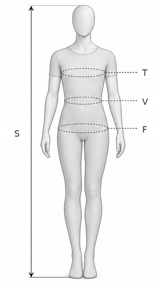 Figura con i punti di misura: S statura, T torace, V vita, F fianchi